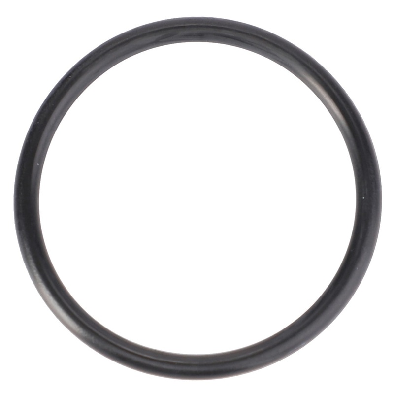 AGCO | O-Ring, Rangebox – 3807877M1