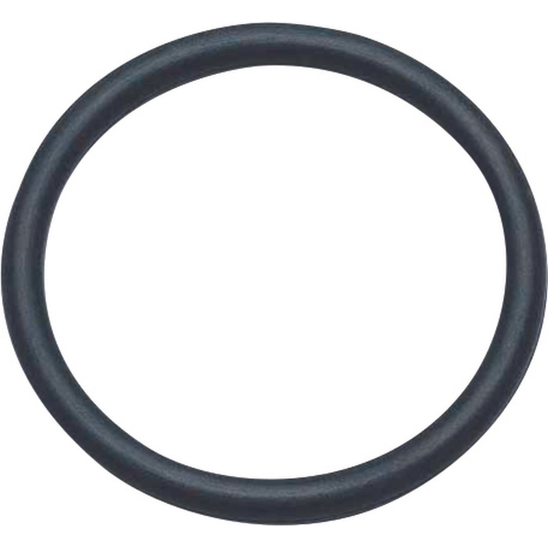 1″ O Ring (100 pieces)