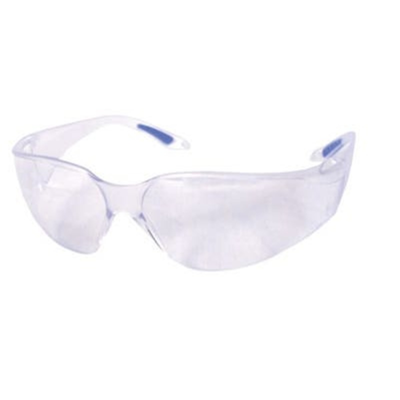 Pro-Safe Wrap-Around Safety Spectacles