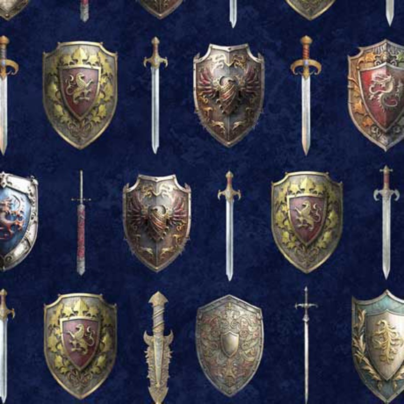 Wizards and Warriors – Swords and Shields Navy | 2600-30241-N