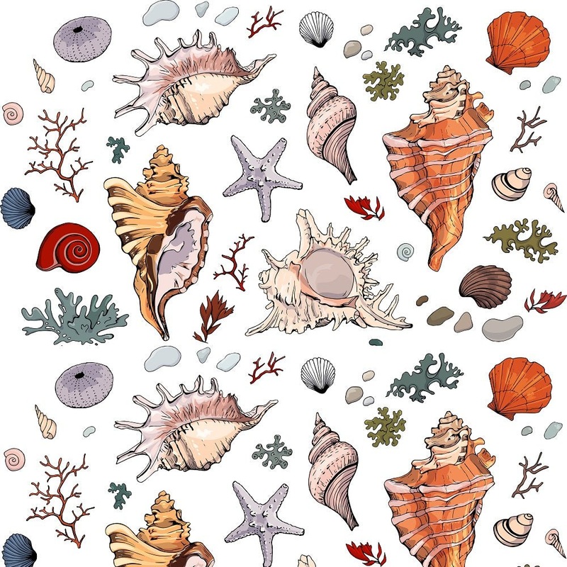 Realistic Colored Seashells Fabric Quilting Cotton Yard – 36″ x 45″