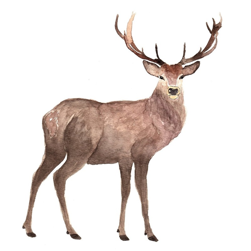 Winter Dreams Deer Fabric Panel Quilting Cotton 4.5 Inches by 4.5 Inches